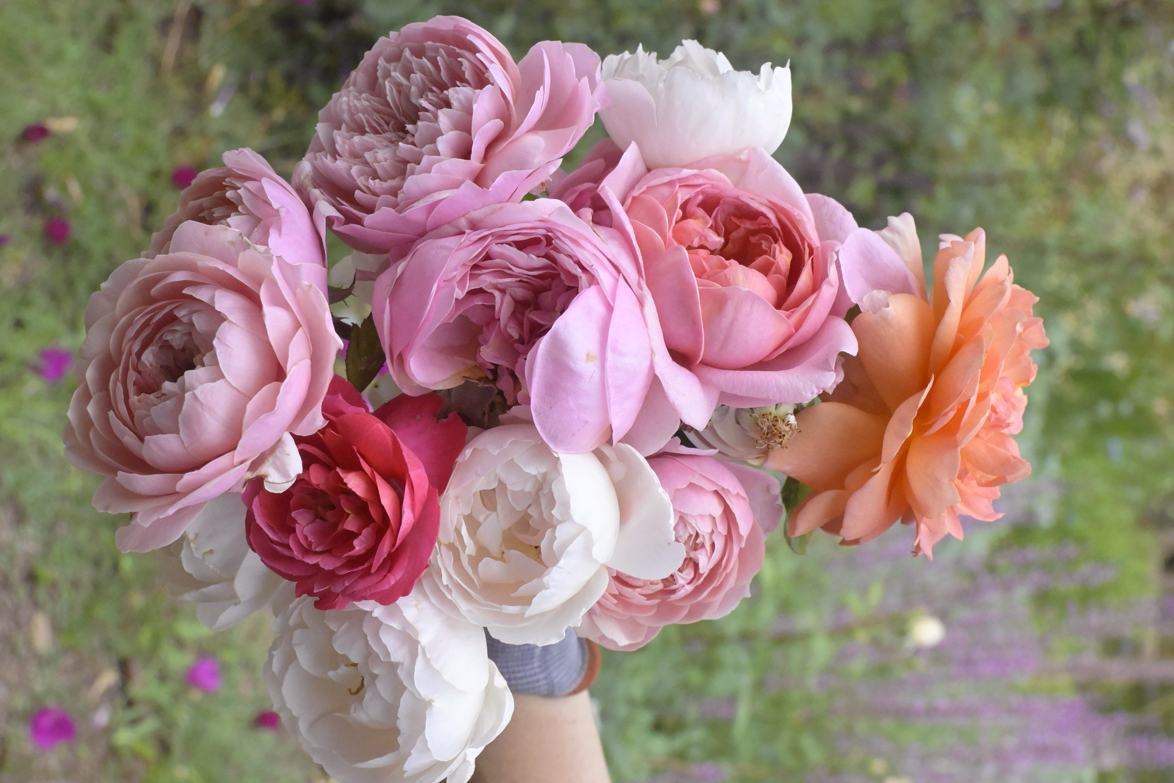 Flowers to Pair With Roses for Bouquets and Gardens