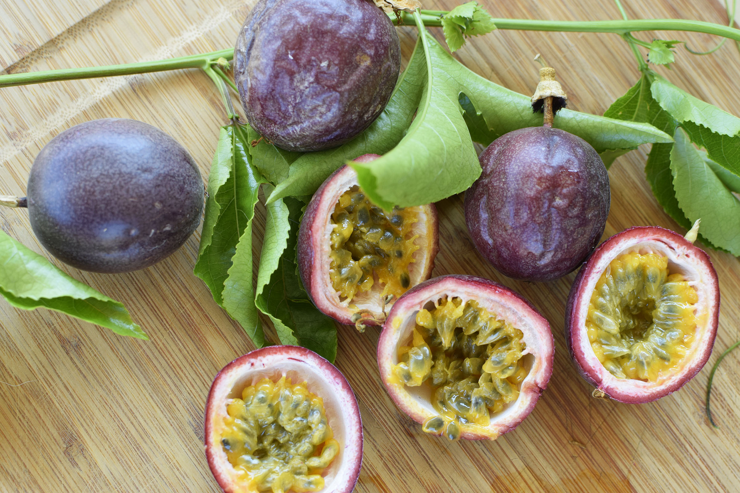 Fruit de la passion Frederick - Passiflora edulis frederick