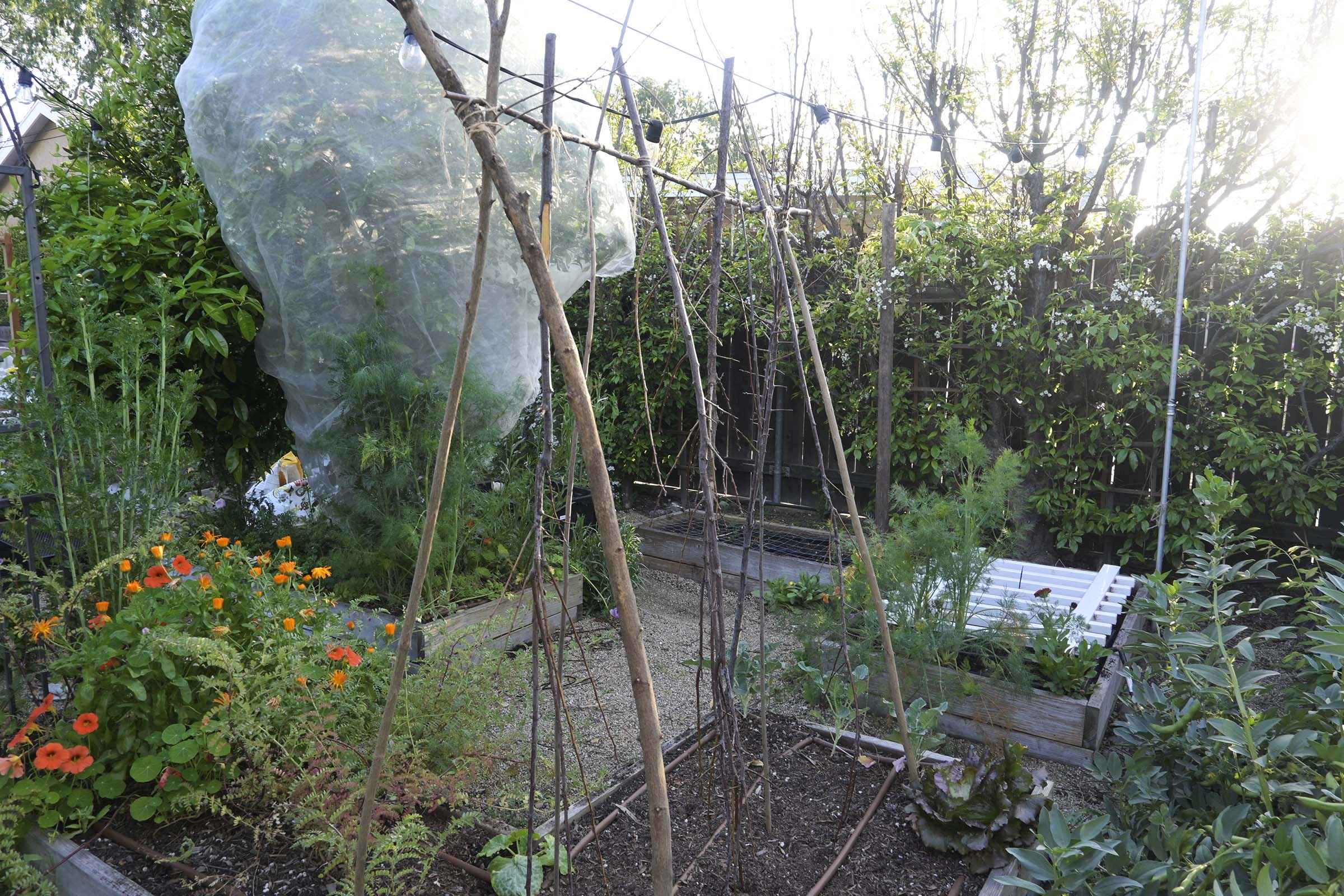 Do You Need a Wood Chipper for Your Veggie Garden? 