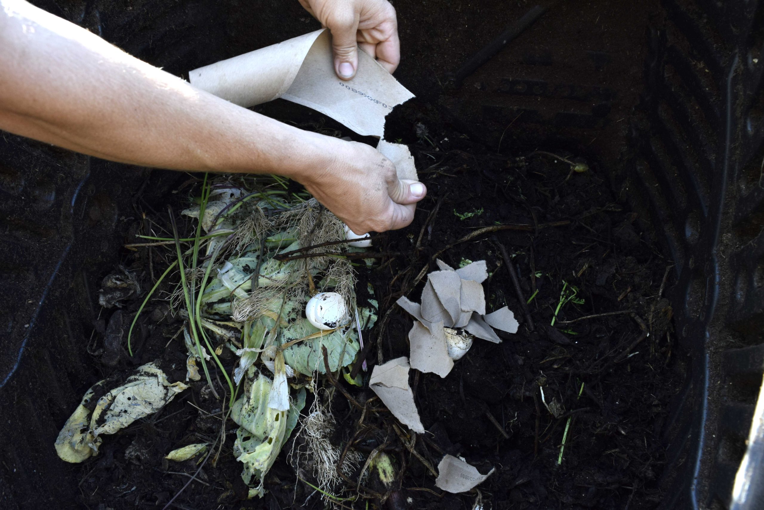 Composting 101: What, Why & How to Compost at Home ~ Homestead and Chill