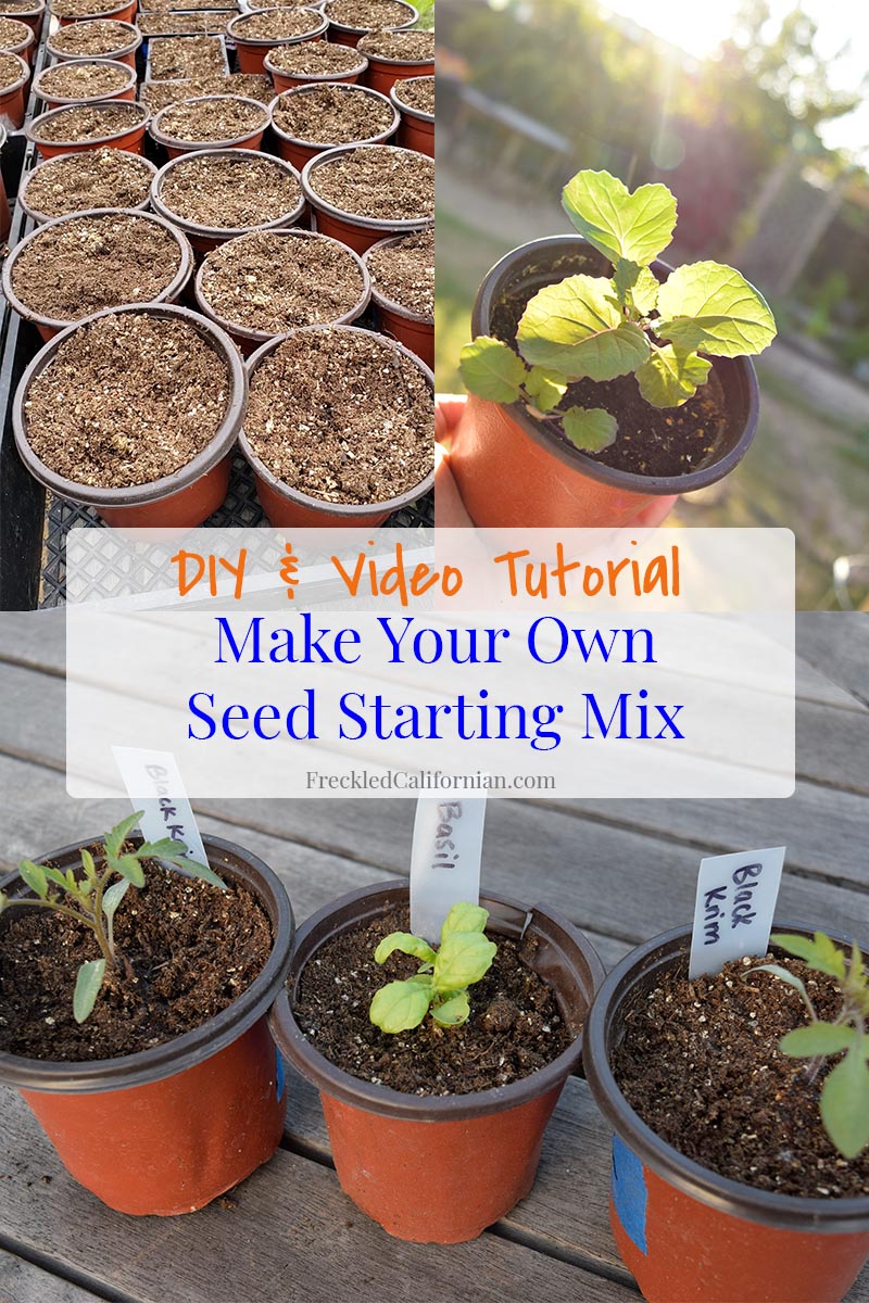 A DIY Seed Starting Soil Mix Recipe