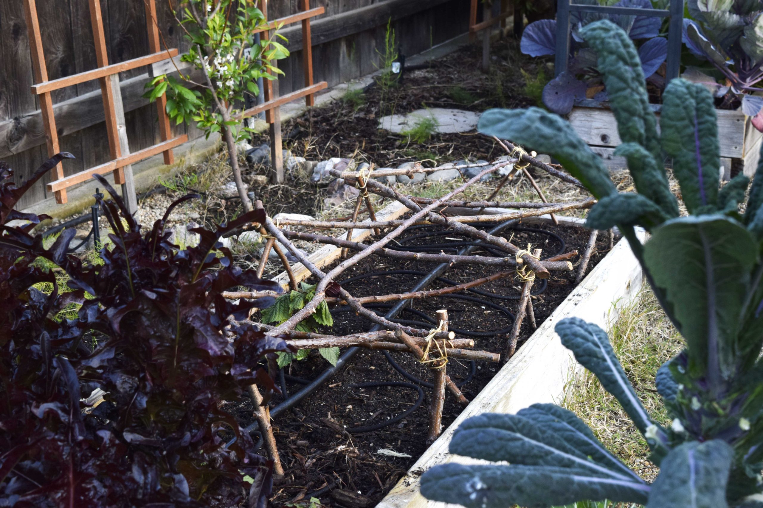 Garden DIY Projects Using Pruned Branches & Sticks Freckled