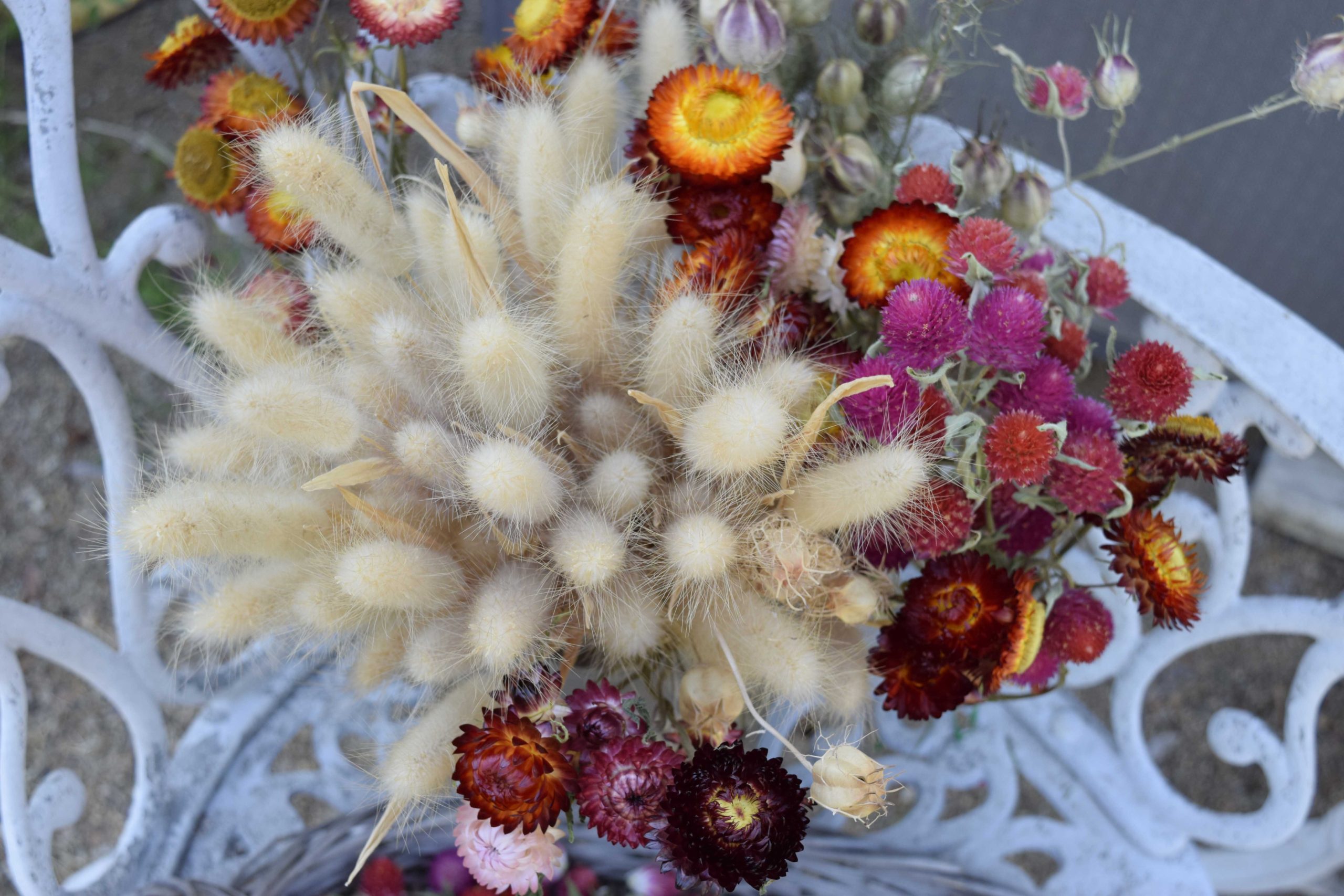 https://freckledcalifornian.com/wp-content/uploads/2020/11/easy-everlastings-to-grow-such-as-bunny-tail-grass-globe-amaranth-and-strawflower-scaled.jpg