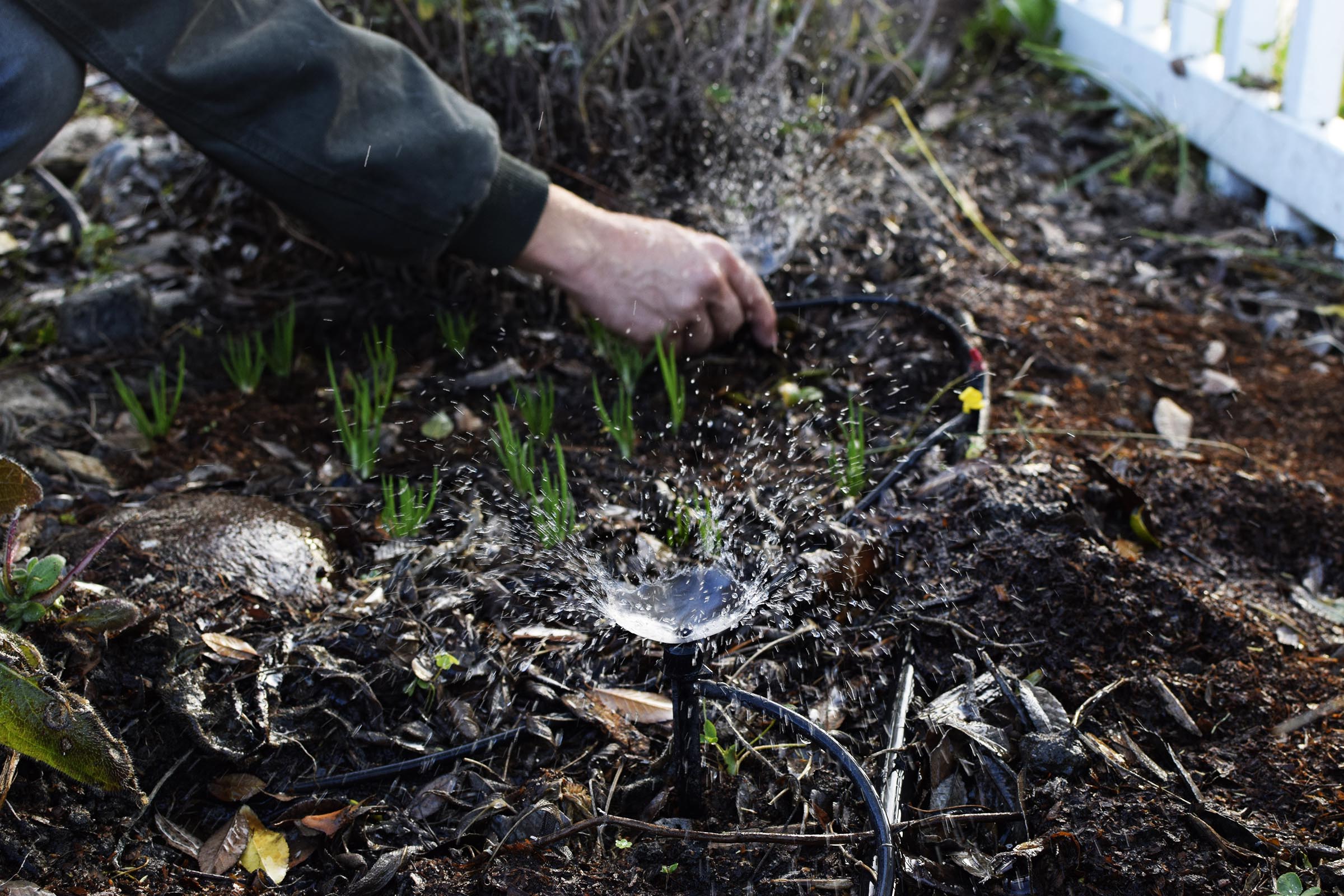 How do I plant with my Oyas?