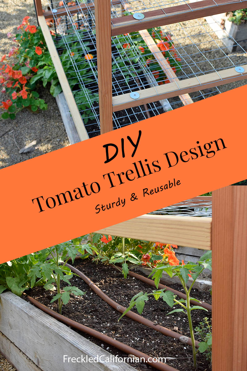 A Unique DIY Tomato Trellis Design   DIY Tomato Trellis Design 