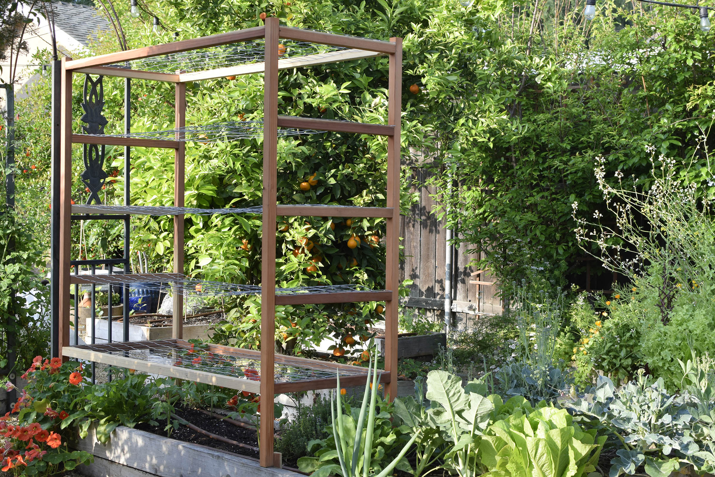 How to Plan Your Vegetable Garden Using Wire Mesh