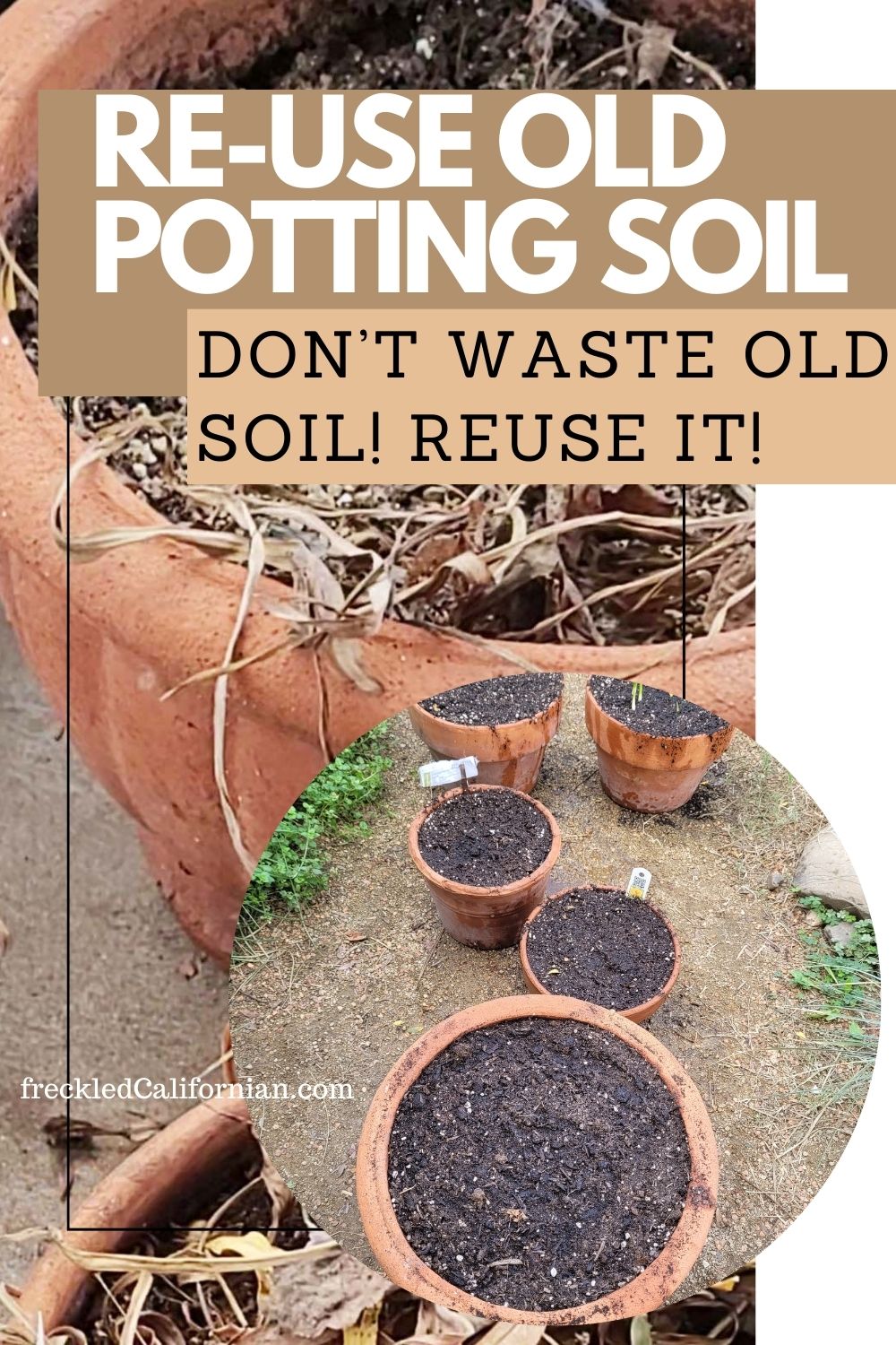 How to Reuse or Amend Old Potting Soil